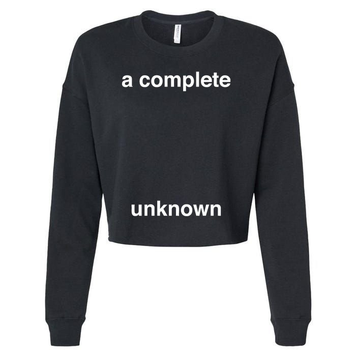 A Complete Unknown..01 Cropped Pullover Crew