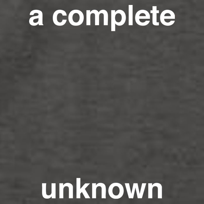 A Complete Unknown..01 Vector Backpack
