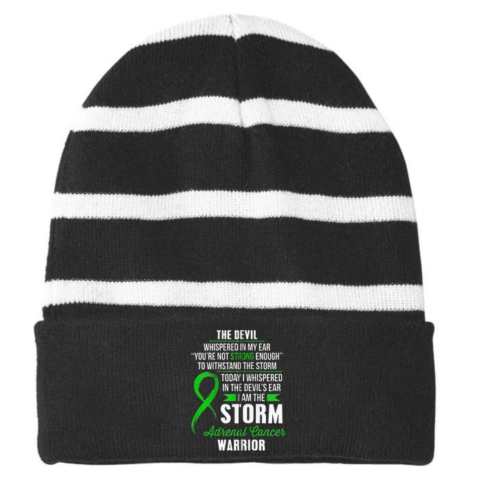 Adrenal Cancer Warrior I Am The Storm Striped Beanie with Solid Band