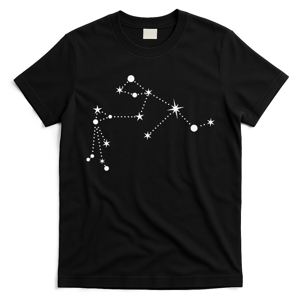 Aquarius Constellation Zodiac T-Shirt