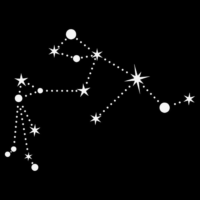 Aquarius Constellation Zodiac 16 in Basic Backpack