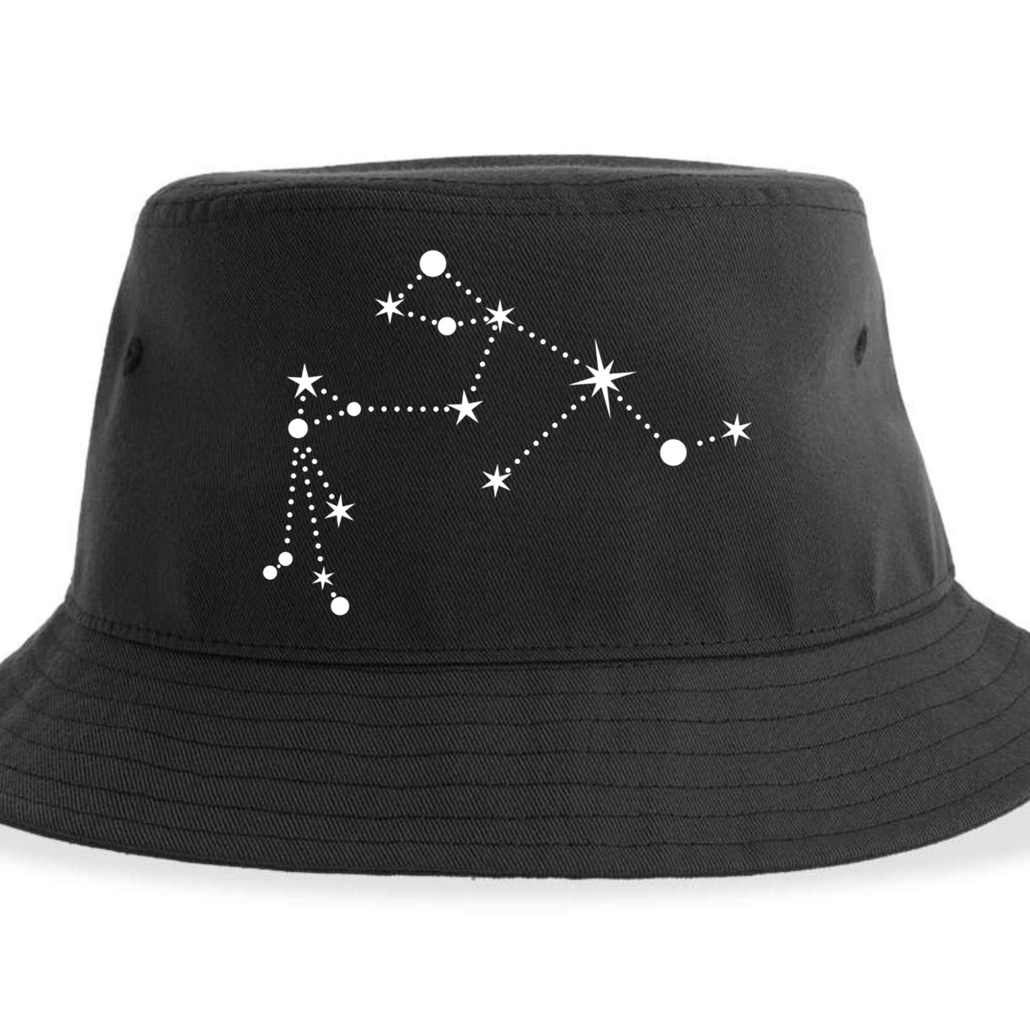 Aquarius Constellation Zodiac Gift Sustainable Bucket Hat