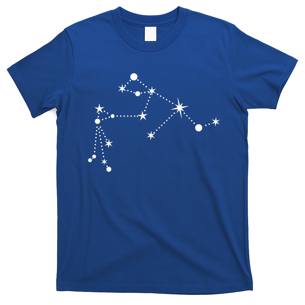 Aquarius Constellation Zodiac Gift T-Shirt