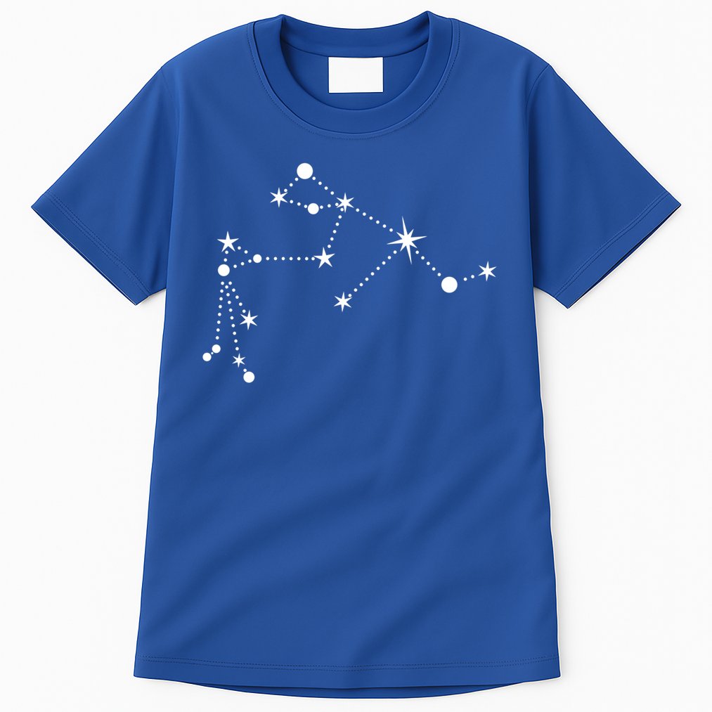 Aquarius Constellation Zodiac Gift Tall T-Shirt