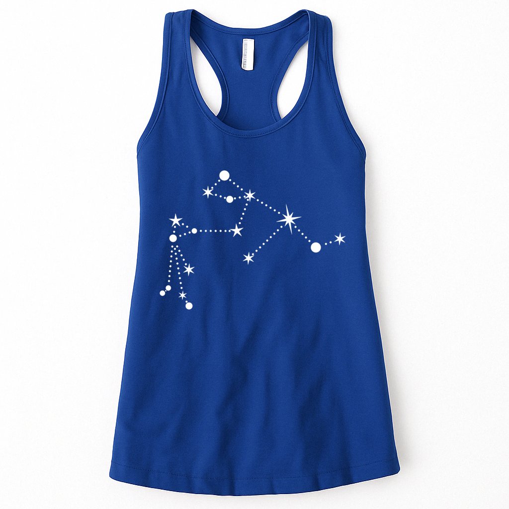 Aquarius Constellation Zodiac Gift Womens Tank Top