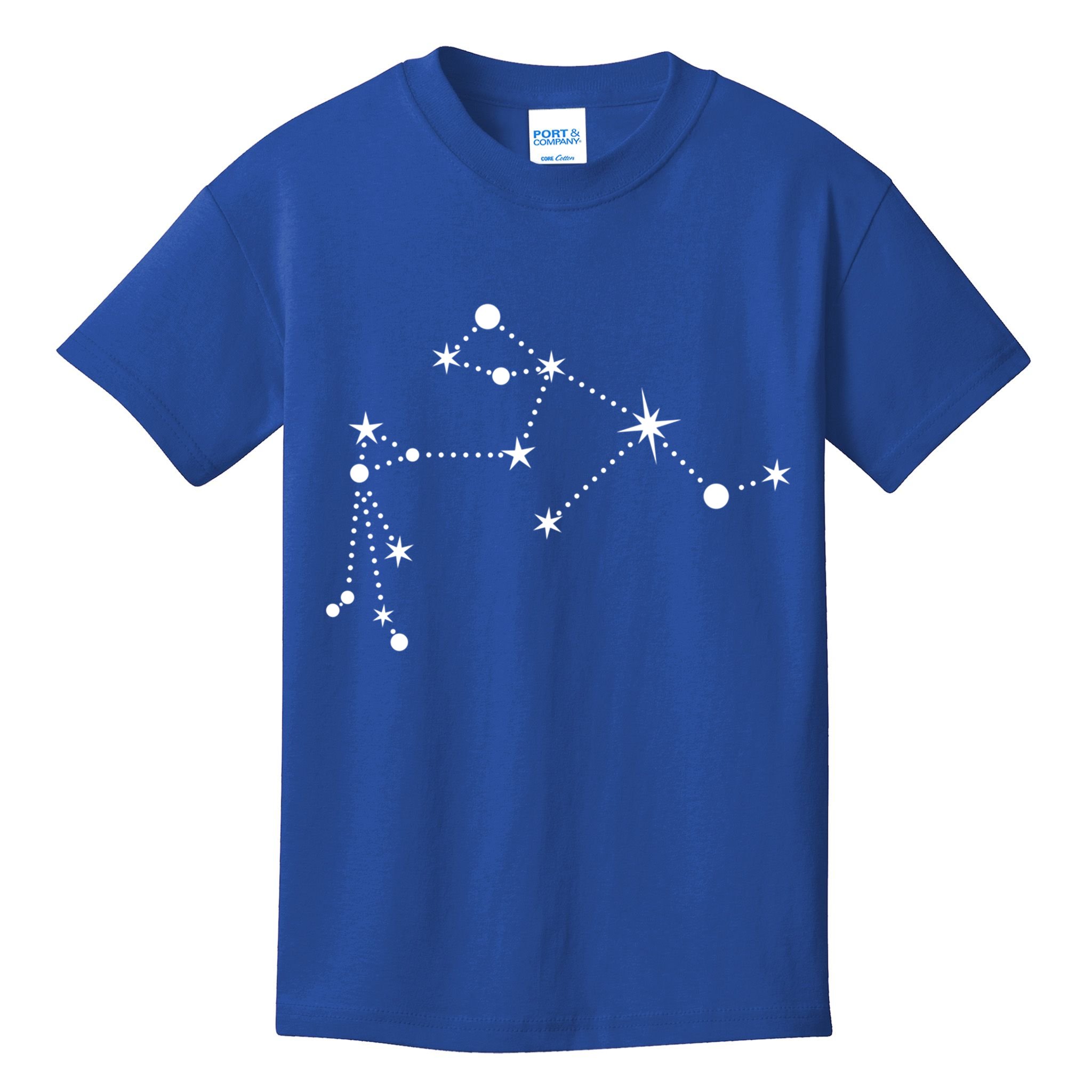 Aquarius Constellation Zodiac Gift Kids T-Shirt