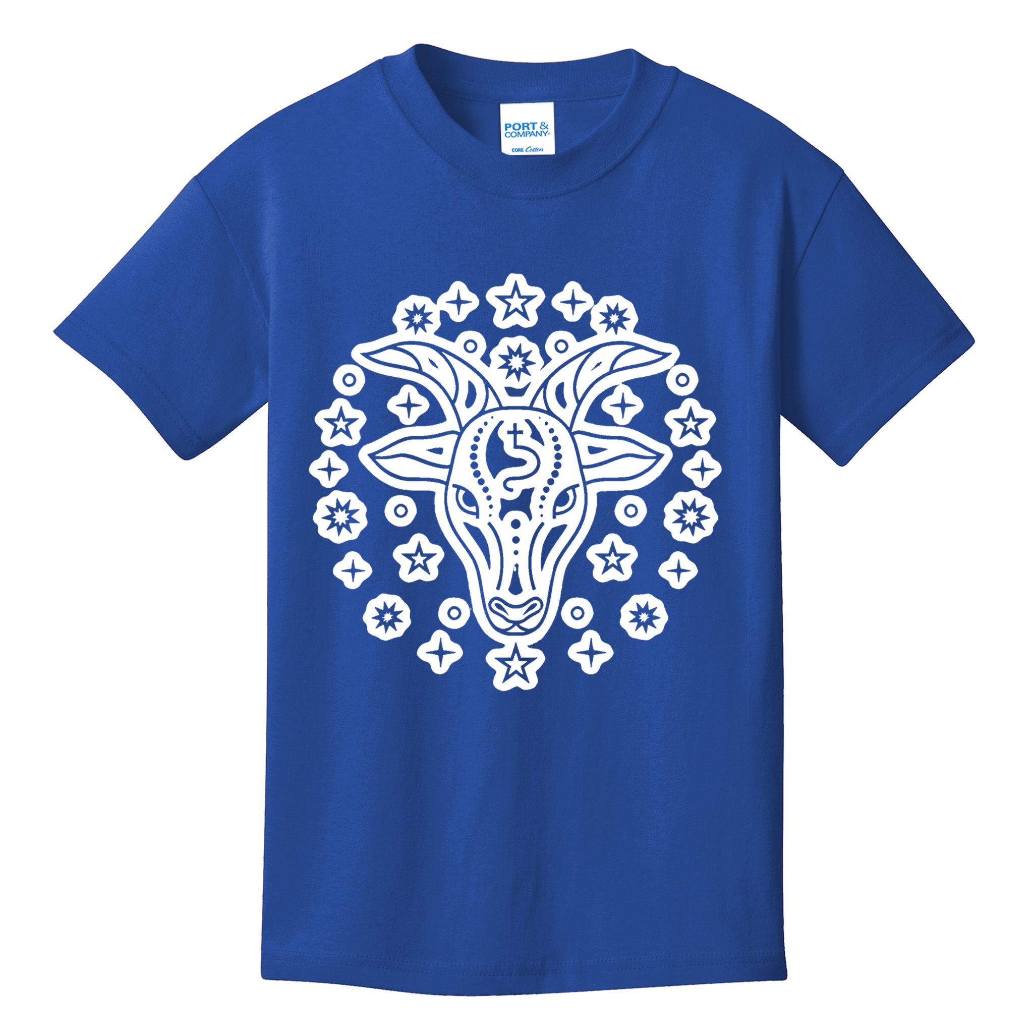 Astrology Capricorn Zodiac Sign Gift Kids T-Shirt