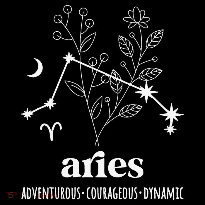 Aries Definition Aries Zodiac Sign Aries Birthday Tall T-Shirt