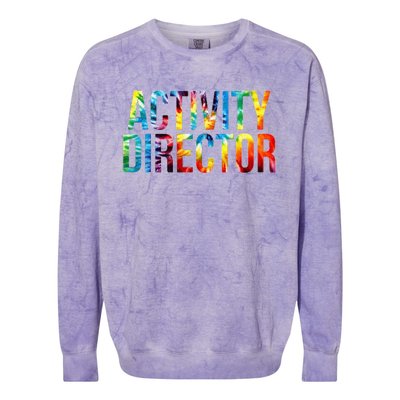 Activity Director Appreciation Day Tie Dye Women For Work Colorblast Crewneck Sweatshirt