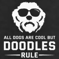 All Dogs Are Cool But Doodles Rule Goldendoodle Labradoodle Cool Comfort Performance Bucket Hat