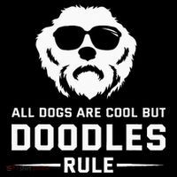 All Dogs Are Cool But Doodles Rule Goldendoodle Labradoodle Mesh Reversible Basketball Jersey Tank