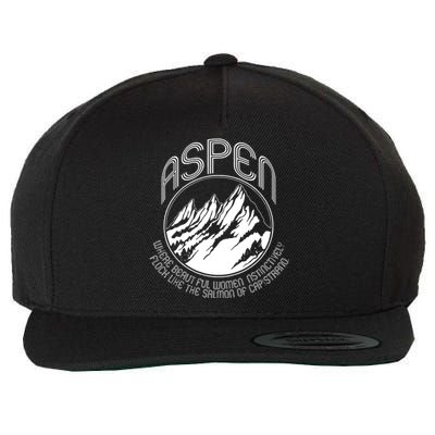 ASPEN DUMB AND DUMBER FUNNY Wool Snapback Cap