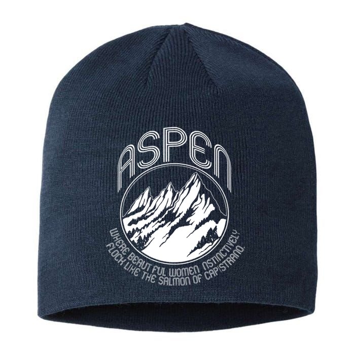 ASPEN DUMB AND DUMBER FUNNY Sustainable Beanie