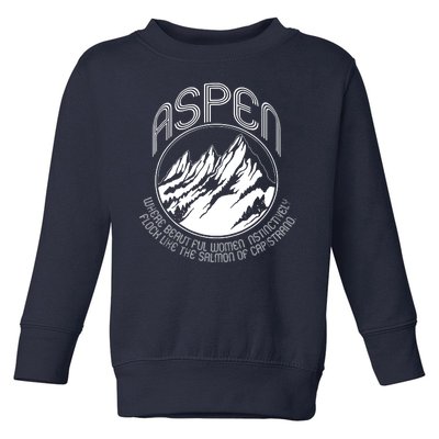 ASPEN DUMB AND DUMBER FUNNY Toddler Sweatshirt