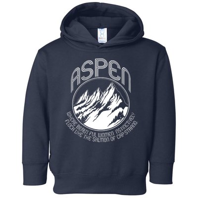 ASPEN DUMB AND DUMBER FUNNY Toddler Hoodie