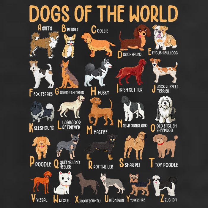 Alphabet Dog Breeds Various Kawaii Cartoon Dogs Dog Hat