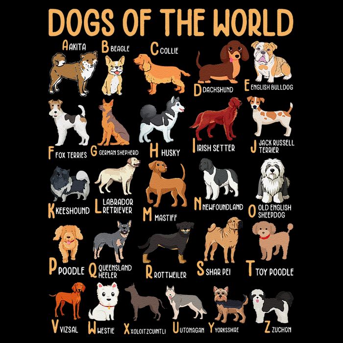 Alphabet Dog Breeds Various Kawaii Cartoon Dogs Dog Womens T-Shirt