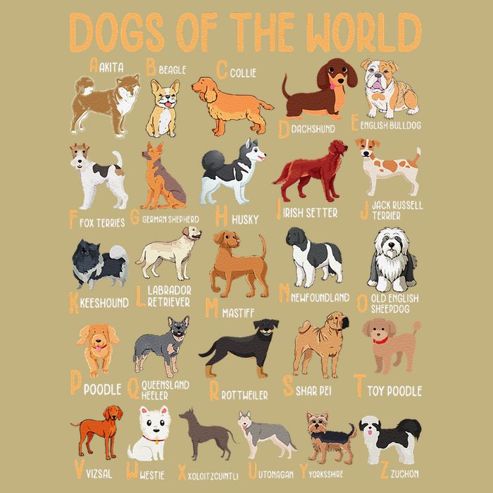Alphabet Dog Breeds Various Kawaii Cartoon Dogs Dog Cooling Performance Crew T-Shirt