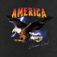 American Dreamer Bald Eagle In Action Microfiber Hand Towel