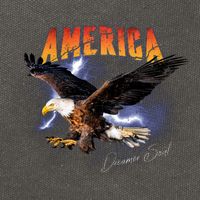 American Dreamer Bald Eagle In Action Cotton Canvas Backpack