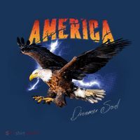 American Dreamer Bald Eagle In Action Button