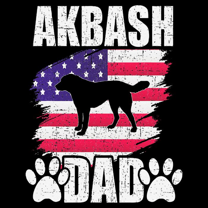 Akbash Dad Dog Lover American Us Flag Cropped Pullover Crew