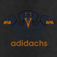 Adidachs Daschund, Daschund Lover Gift 7 Panel Mesh Trucker Snapback Hat