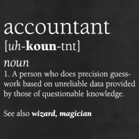 Accountant Definition Funny Accounting Gift TShirt Adult Drive Performance Visor