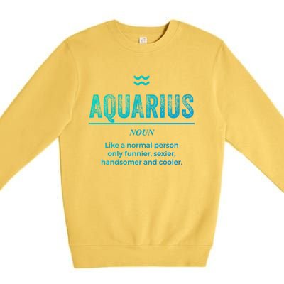 Aquarius Definition Funny Zodiac Gift Great Gift Premium Crewneck Sweatshirt