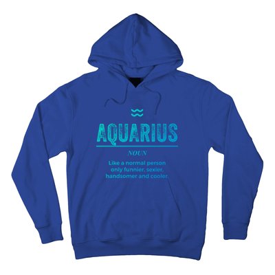 Aquarius Definition Funny Zodiac Gift Great Gift Hoodie