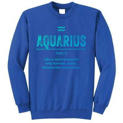 Aquarius Definition Funny Zodiac Gift Great Gift Sweatshirt