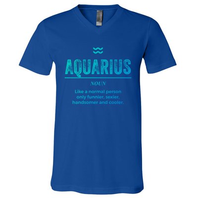 Aquarius Definition Funny Zodiac Gift Great Gift V-Neck T-Shirt