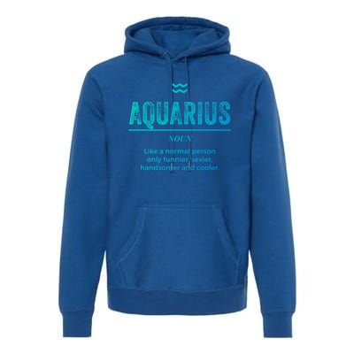 Aquarius Definition Funny Zodiac Gift Great Gift Premium Hoodie