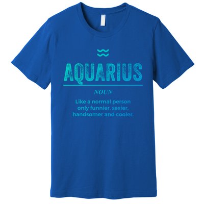 Aquarius Definition Funny Zodiac Gift Great Gift Premium T-Shirt