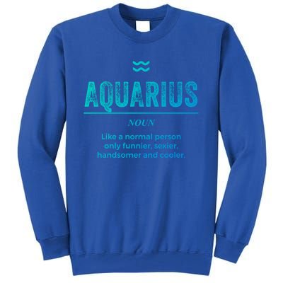 Aquarius Definition Funny Zodiac Gift Great Gift Tall Sweatshirt