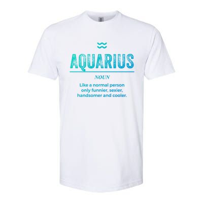 Aquarius Definition Funny Zodiac Gift Great Gift Softstyle CVC T-Shirt