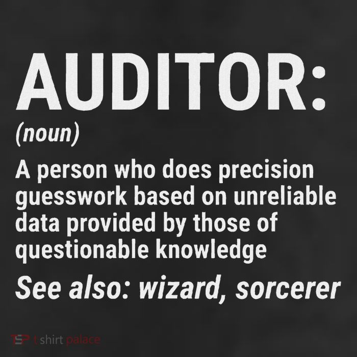 Auditor Definition Funny Auditing Wizard Garment-Dyed Heavyweight T-Shirt