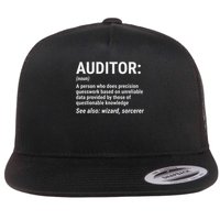 Auditor Definition Funny Auditing Wizard Flat Bill Trucker Hat