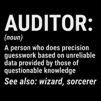 Auditor Definition Funny Auditing Wizard Flat Bill Trucker Hat