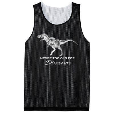 Adult Dinosaur - Funny Dinosaur Mesh Reversible Basketball Jersey Tank