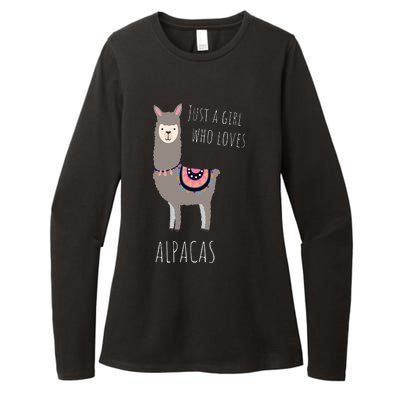 Alpaca Design Funny Just a who loves Alpacas Womens CVC Long Sleeve Shirt