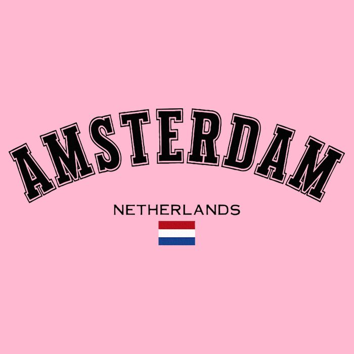 Amsterdam Dutch Flag Souvenir Netherlands Travel Women's V-Neck T-Shirt
