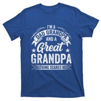 A Dad Grandpa And Great Grandpa Grandma Fatherhood Meaningful Gift T-Shirt