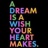 A Dream Is A Wish Your Heart Makes Flatbill Hat