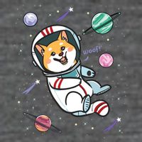 Astronaut Dog In Space Shiba Inu Akita Boy Girl Cosmonaut 7 Panel Mesh Trucker Snapback Hat