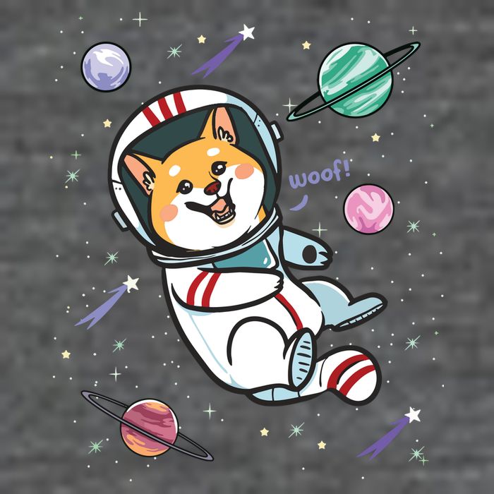 Astronaut Dog In Space Shiba Inu Akita Boy Girl Cosmonaut 7 Panel Mesh Trucker Snapback Hat