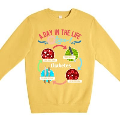 A Day In Life Of Typegift1 Diabetes Gift Premium Crewneck Sweatshirt