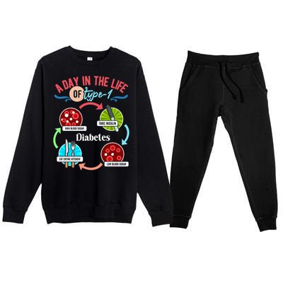 A Day In Life Of Typegift1 Diabetes Gift Premium Crewneck Sweatsuit Set