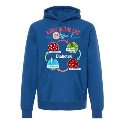 A Day In Life Of Typegift1 Diabetes Gift Premium Hoodie