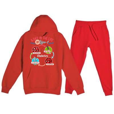 A Day In Life Of Typegift1 Diabetes Gift Premium Hooded Sweatsuit Set